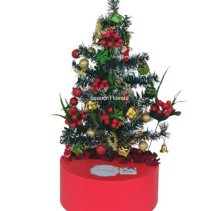 Christmas Tree Gift Box